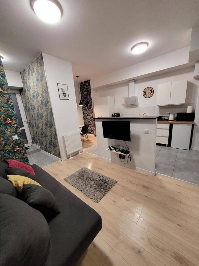 Apartamenty Cieplicka 20 Jelenia Góra Екстериор снимка