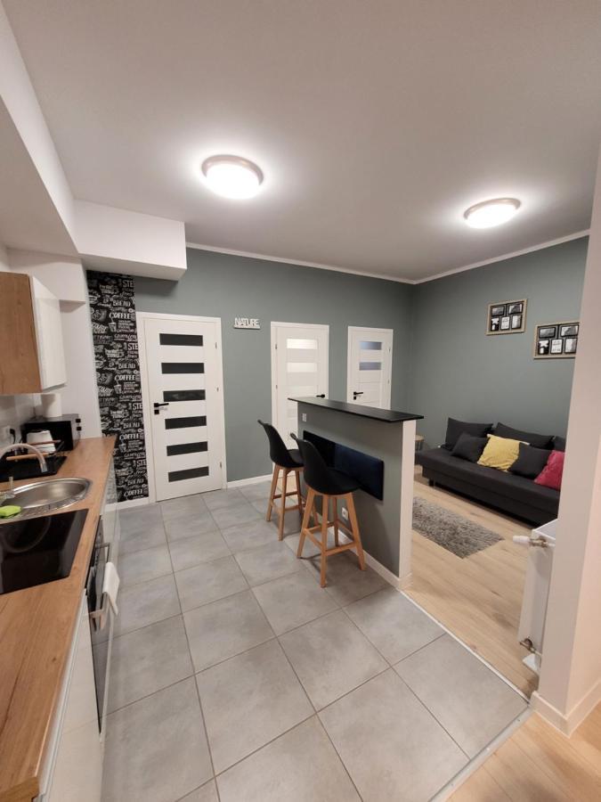 Apartamenty Cieplicka 20 Jelenia Góra Екстериор снимка