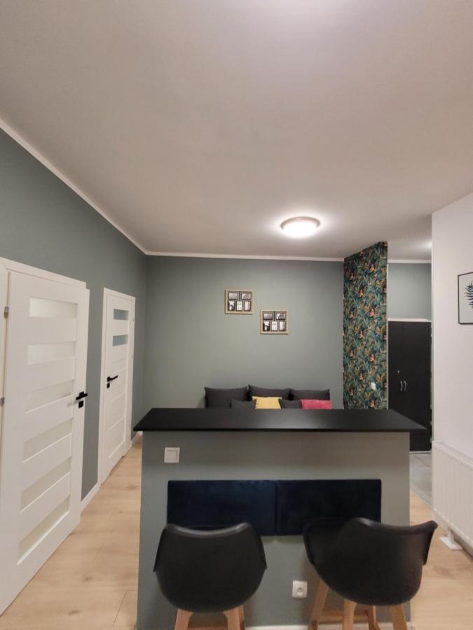 Apartamenty Cieplicka 20 Jelenia Góra Екстериор снимка